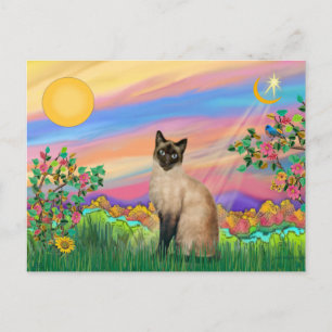 Carte Postale Chat de Siamese - Étoile de jour