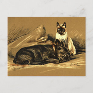 Carte Postale Chat de Siamese vintage et Bulldog français