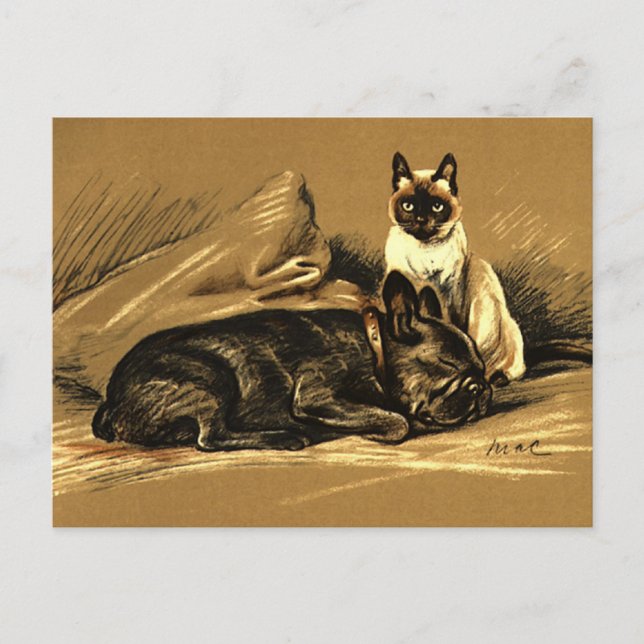 Carte Postale Chat de Siamese vintage et Bulldog français (Devant)