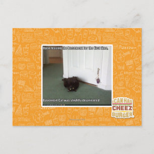 Carte Postale Chat de sous-sol, légèrement désorienté