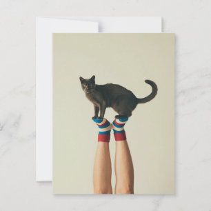 Carte Postale Chat d'équilibrage sur Chaussettes rayées, Amoureu