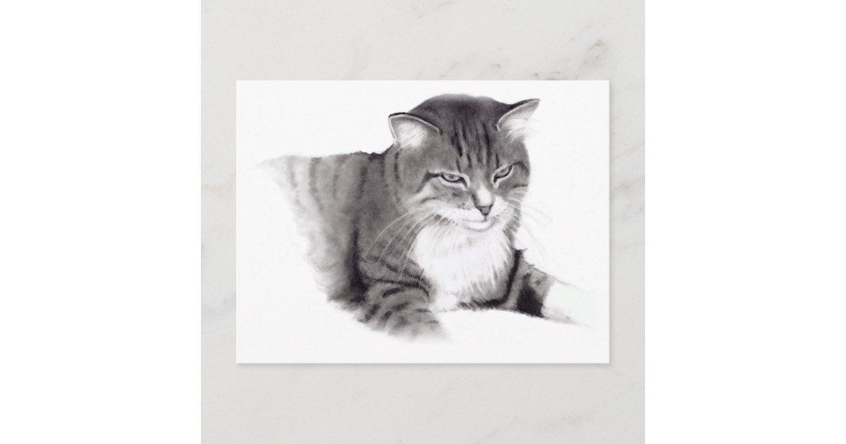 Carte Postale Chat Dessin Au Crayon Art Original Zazzle Fr