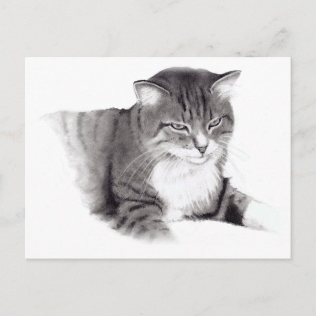 Carte Postale Chat : Dessin au crayon : Art original (Devant)