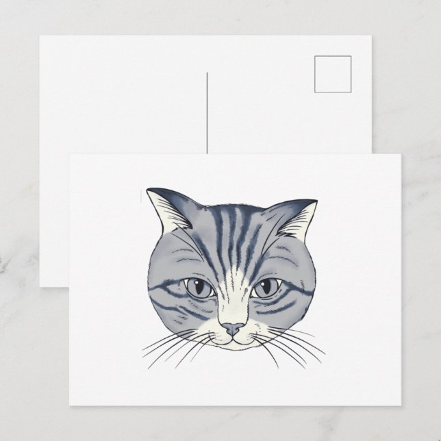Carte Postale Chat dessiné à la main (Devant / Derrière)