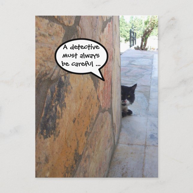 Carte Postale CHAT DÉTECTIVE DERRIÈRE LE MUR DE PIERRE / Fête de (Devant)