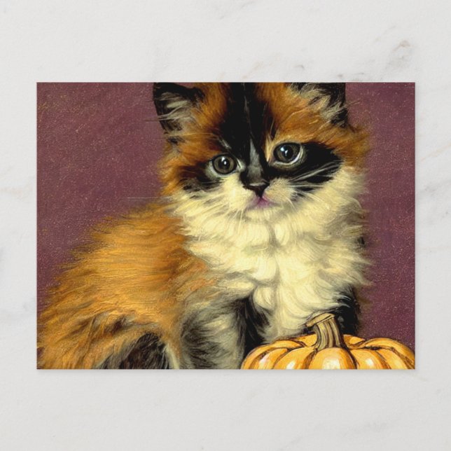 Carte Postale Chat d'Halloween Ragdoll vintage (Devant)