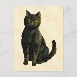 Carte Postale Chat d'Halloween vintage