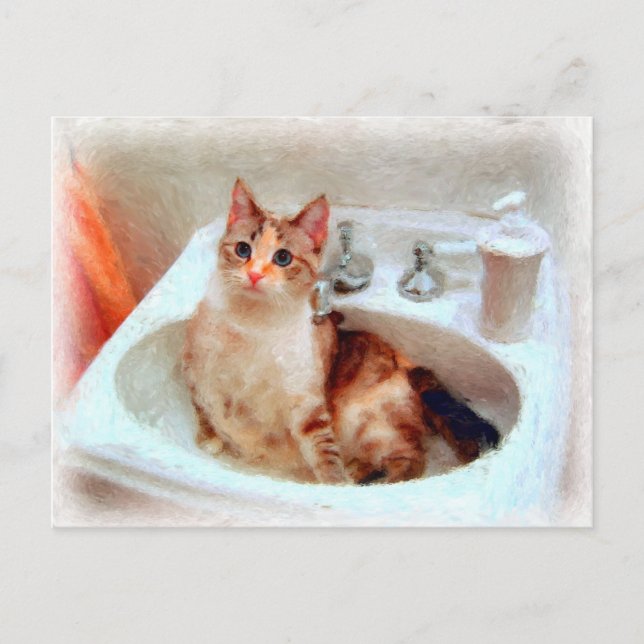 Carte postale Chat d'impressionniste dans un bassi (Devant)