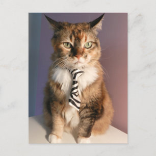 Carte Postale Chat domestique dans une cravate d'affaires