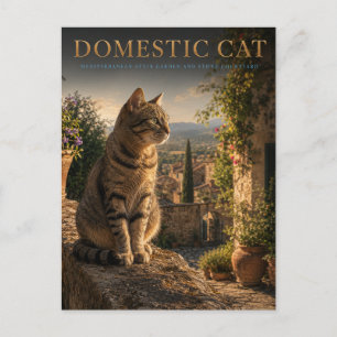 Carte Postale Chat Domestique Jardin Cour ANIMALS