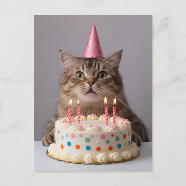 Carte Postale Chat drôle avec gâteau d'anniversaire (Devant)