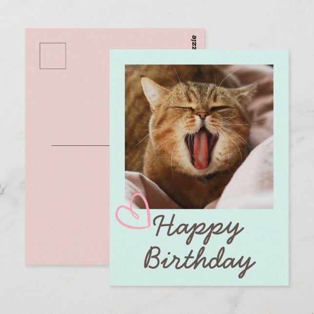 Carte Postale Chat Drôle et joli anniversaire (Devant / Derrière)