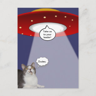 Carte Postale Chat drôle et vaisseau spatial