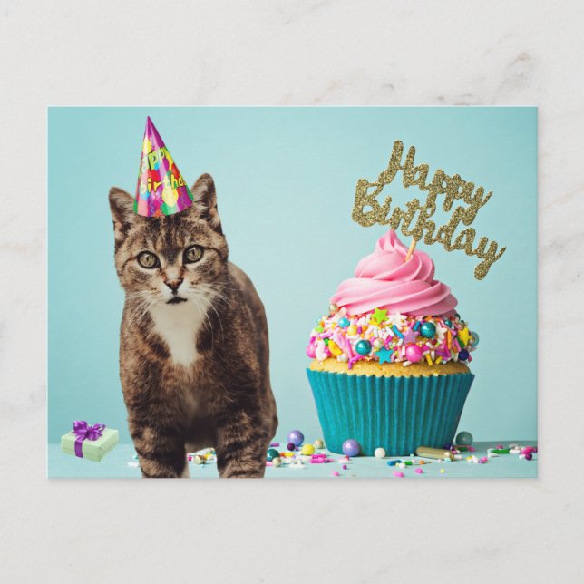 Carte Postale Chat drôle joyeux anniversaire avec gâteau (Devant)
