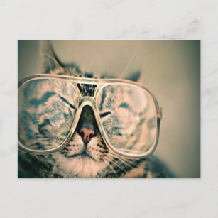 Carte Postale Chat drôle portant des lunettes