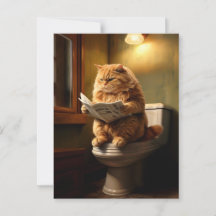 Chat drôle sur Toilet | Humour De Salle De Bains