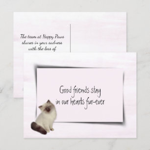 Carte Postale Chat en chiffon Sympathie pour animal de compagnie