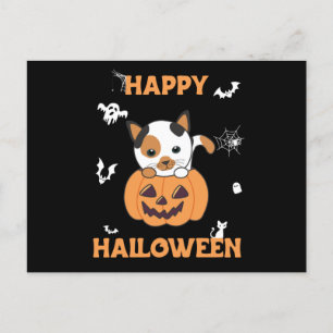 Carte Postale Chat En Citrouille Chats Doux Joyeux Halloween