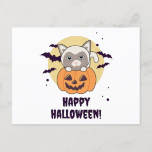 Carte Postale Chat En Citrouille Chats Doux Joyeux Halloween