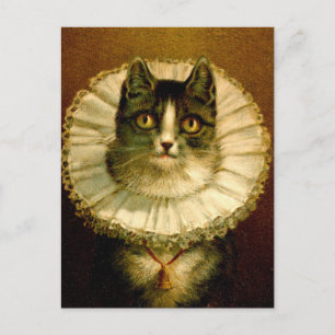 Carte Postale Chat en collier élisabéthain Costume Postcard
