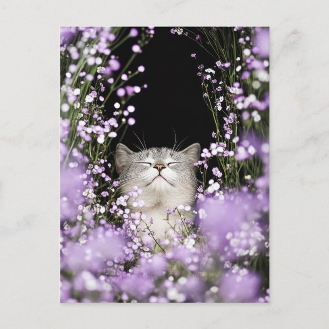 Carte Postale Chat en fleurs (Devant)