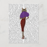 Chat En Robe Rouge