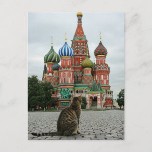 Carte Postale Chat en Russie Moscou Voyage
