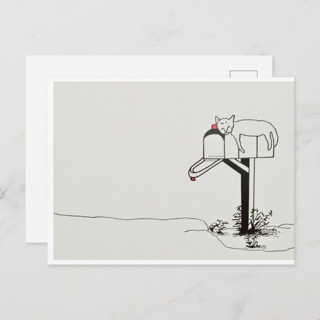 Carte Postale Chat endormi en attente de courrier (Devant / Derrière)