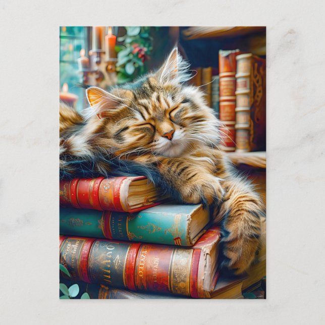 Carte Postale Chat endormi sur un tas de livres (Devant)