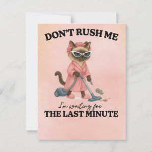 Carte Postale Chat est la maison de nettoyage