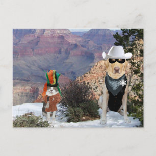 Carte Postale Chat et chien amusant / Labo caractères occidentau