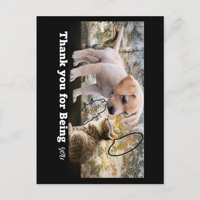 Carte Postale Chat et chien avec texte merci (Devant)