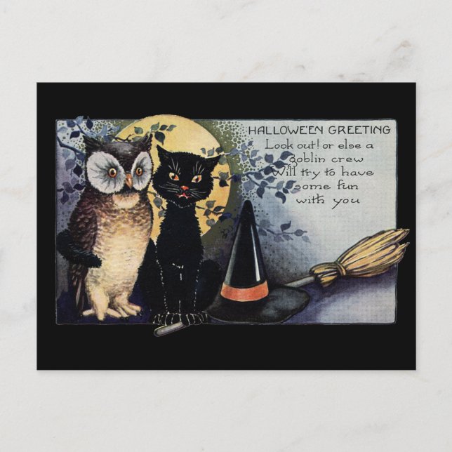 Carte Postale Chat et hibou noirs d'Halloween (Devant)