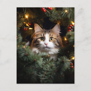 Carte Postale Chat et sapin de Noël