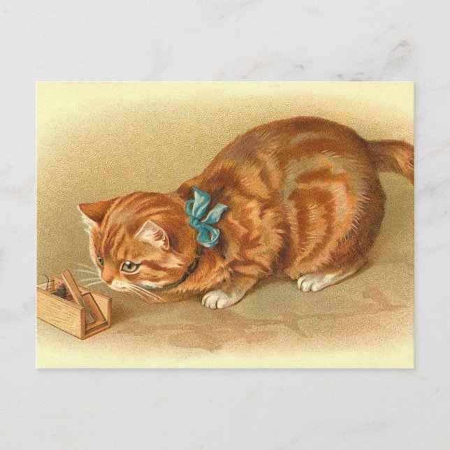 Carte postale "Chat et souris" (Devant)