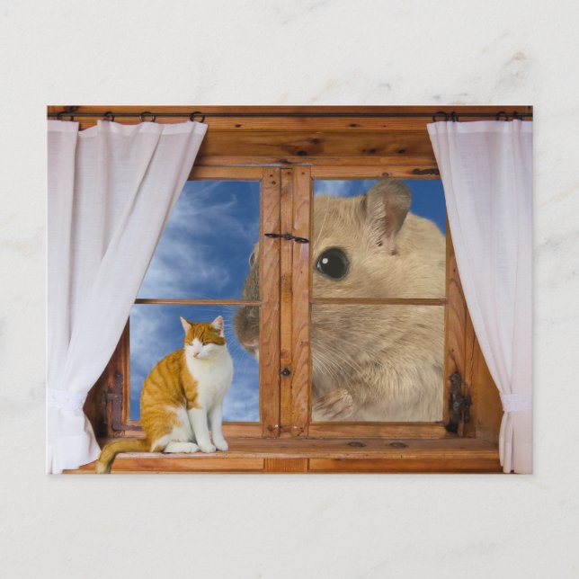 Carte Postale Chat et souris amusant (Devant)