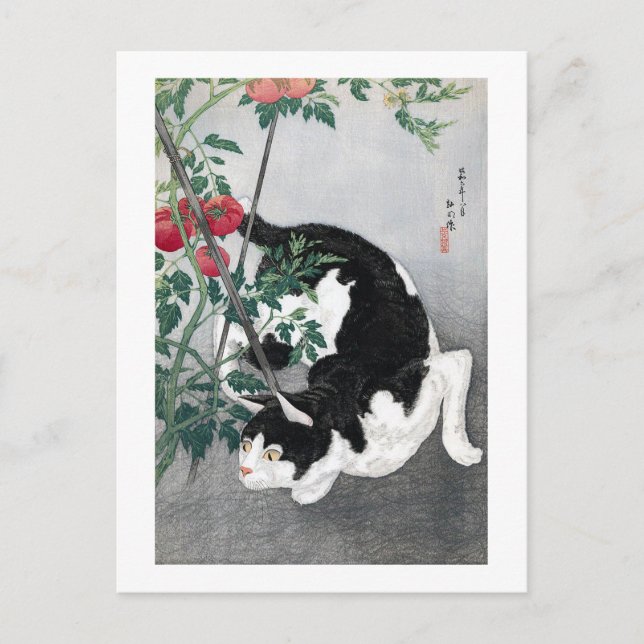 Carte Postale Chat et tomate, Takahashi Shotei (Devant)