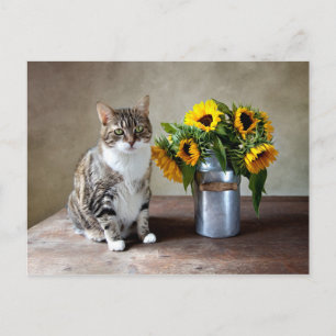 Carte Postale Chat et tournesols