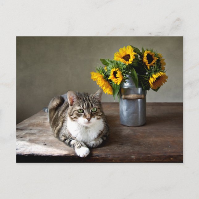 Carte Postale Chat et tournesols (Devant)