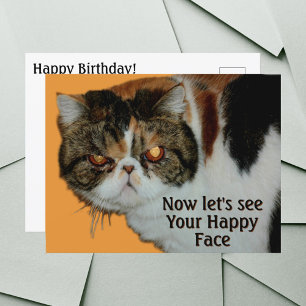 Carte Postale Chat Exotique à poil court Persan Grognon et Grinc