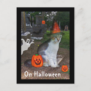 Carte Postale Chat Fantôme