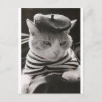 chat français vintage