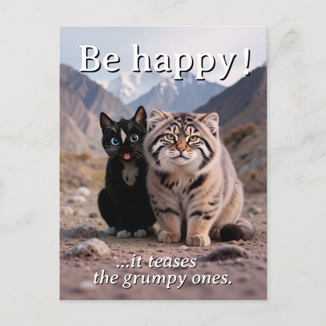 Carte Postale Chat gai contre Chat grumpy - Humour (Devant)