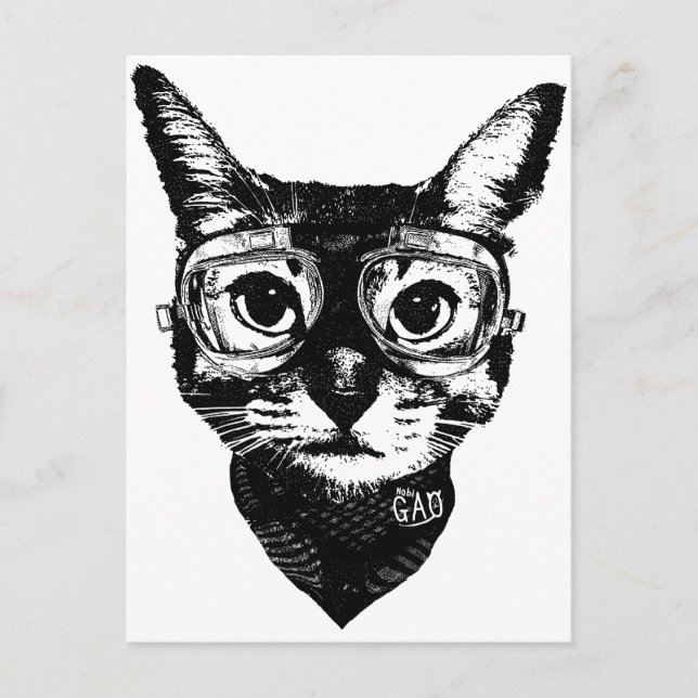 Carte Postale Chat Goggles (Devant)