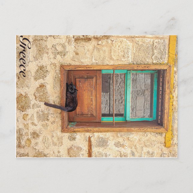 Carte Postale chat grec (Devant)