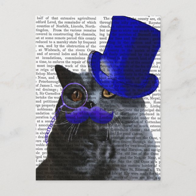 Carte Postale Chat gris avec chapeau bleu et moustache bleue (Devant)