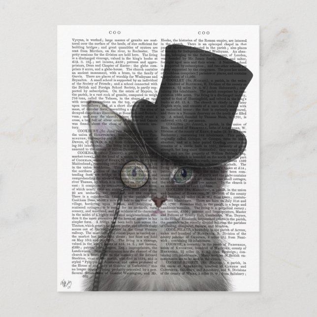 Carte Postale Chat gris avec chapeau supérieur (Devant)