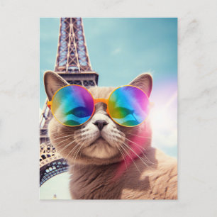 Carte Postale Chat gris en Lunettes de soleil à Paris