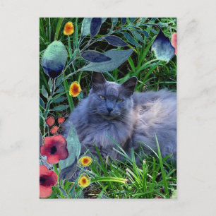 Carte Postale Chat gris et duveteux dans un jardin avec des fleu