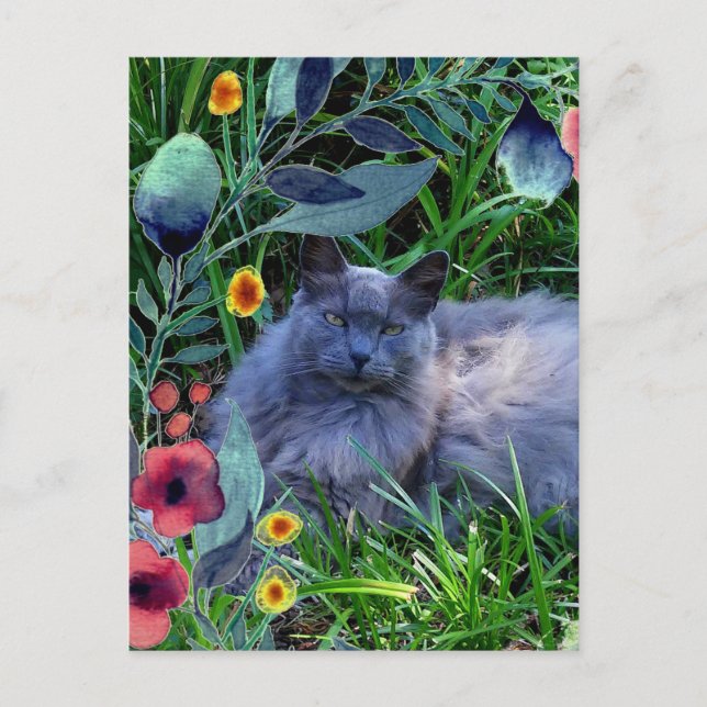 Carte Postale Chat gris et duveteux dans un jardin avec des fleu (Devant)